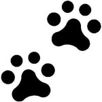 PM tracking tips